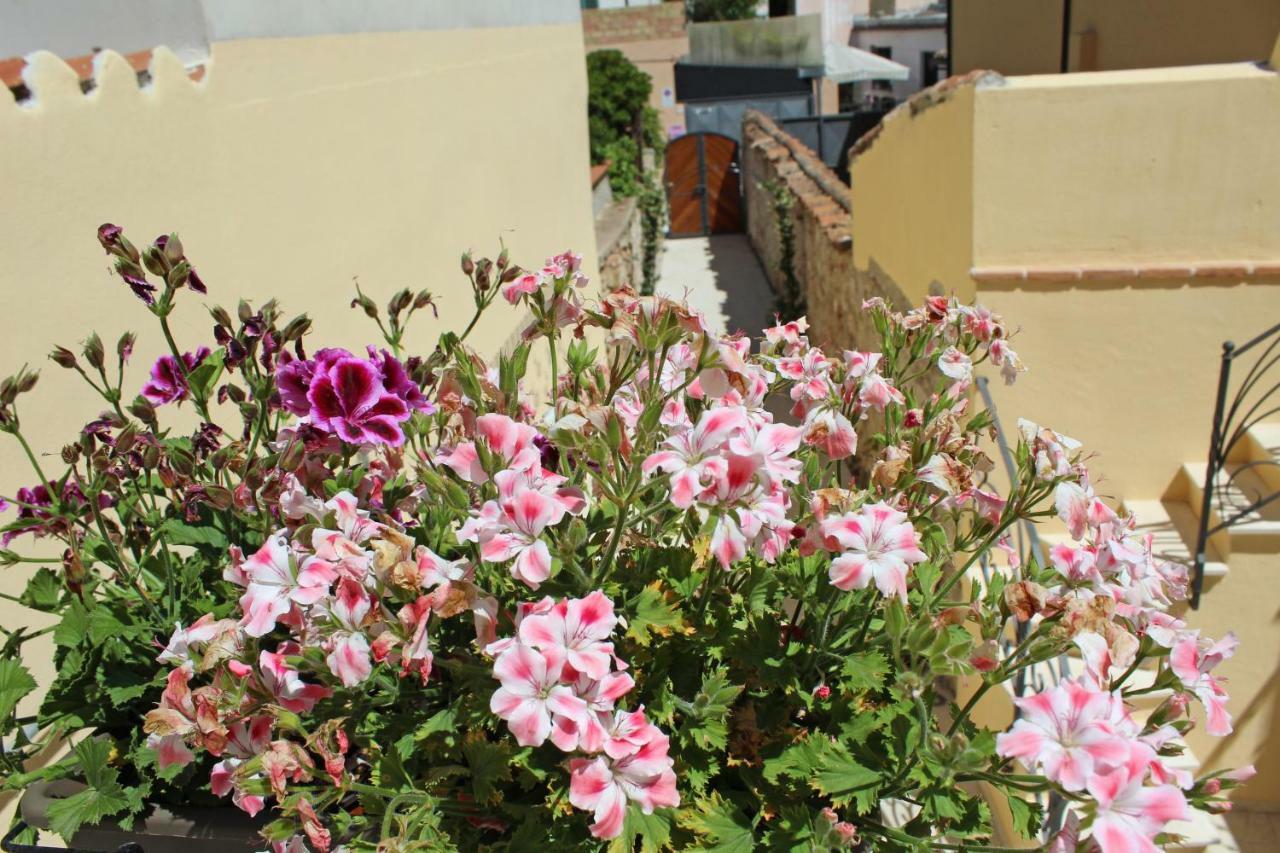 Tortolì Ogliastra Luxury Apartment - Ajpsardinia מראה חיצוני תמונה